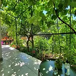 Pavica Apartment *