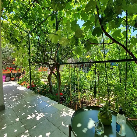 Pavica Apartament *