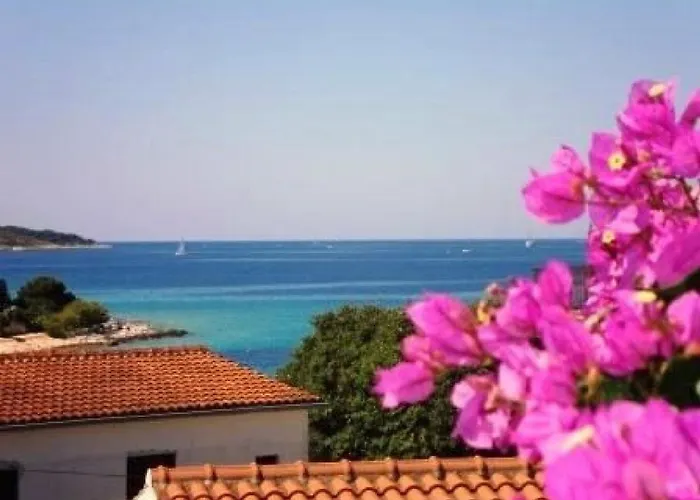 Pavica * Rogoznica (Sibenik-Knin)