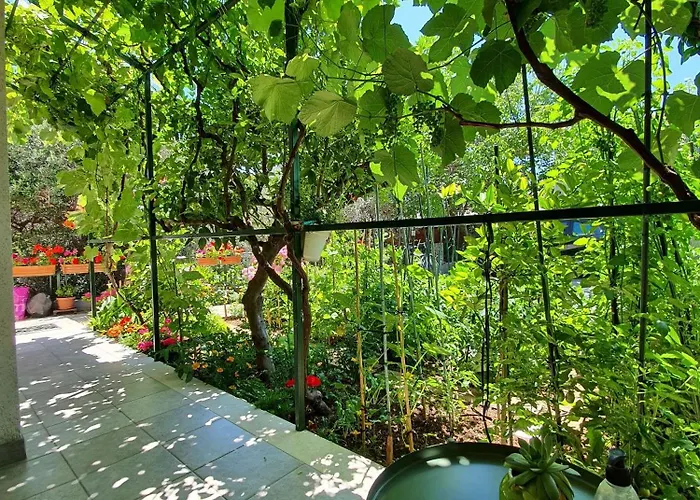 Pavica Appartement *